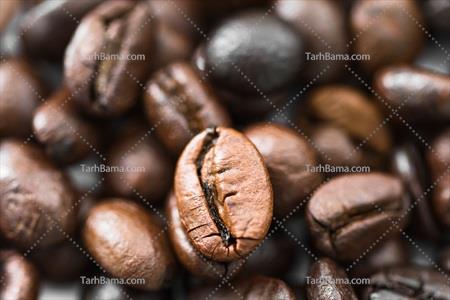 تصویر با کیفیت دانه قهوه از نزدیک